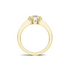 yellow gold