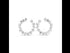 LE1975